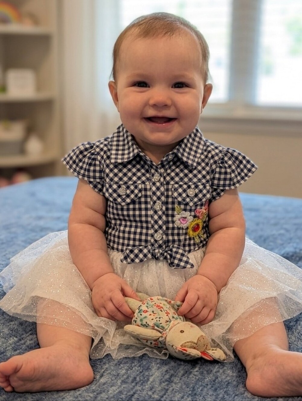 Little Lass 12M Navy Gingham Dress with Tulle Skirt